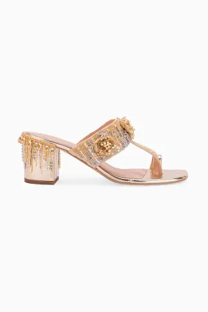 Chandra Heels